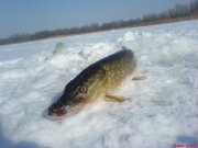 DSC01788.JPG