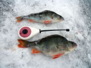 IMG_0106_1.JPG
