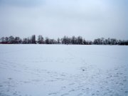 IMG_0111_1.JPG