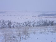 Изображение 031.jpg