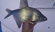 IMAG0568.jpg