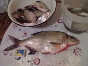 26022012473.jpg
