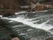 IMG_2773.jpg