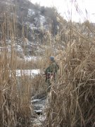 IMG_2775.jpg