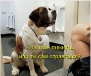 post-244-1328300848.JPG