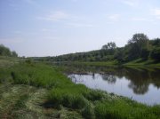 SDC11635.jpg
