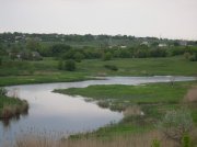 SDC11659.jpg