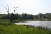 IMG_9354.JPG