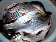 P11-03-12_20.17.jpg