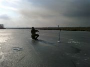 11032012295.jpg
