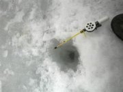 13032012193-001.jpg