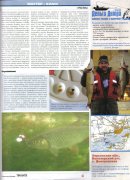 lastscan3.jpg