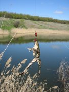 IMG_5155.jpg