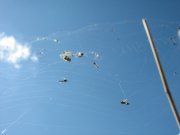 IMG_5182.jpg