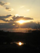 IMG_5195.jpg