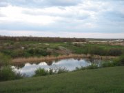 IMG_5206.jpg