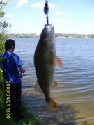 PIC_0054.jpg