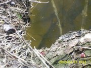 PIC_0058.JPG