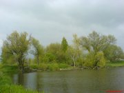 DSC00666.JPG
