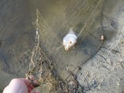 DSCN9409.JPG
