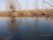 DSCN0397.jpg