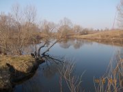 DSCN0398.jpg