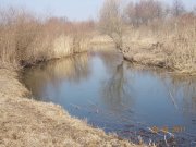 DSCN0401.jpg