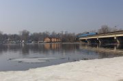 IMG_5255.jpg