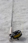 IMG_5249.jpg