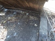 DSC05500.jpg