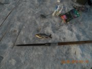 DSCN6364.jpg