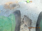 DSCN6369.jpg