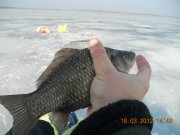 DSCN6370.jpg