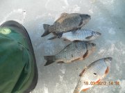 DSCN6372.jpg