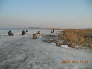 DSCN6374.jpg