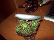 100_7236.jpg