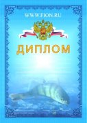 Диплом2 ..jpg