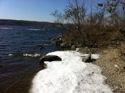 IMG_0115.jpg