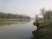 19032012776.jpg