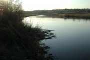 DSC05538.jpg