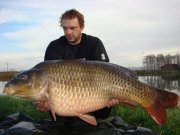 carp.jpg
