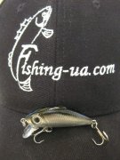YO-ZURI L-Minnow F199 (BL).jpg