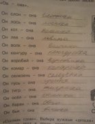 правильно написал.jpg