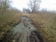30032012444.jpg