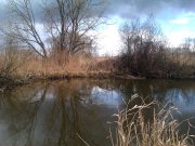 IMAG0164.jpg