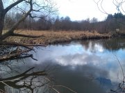 IMAG0165.jpg