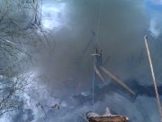 IMAG0166.jpg