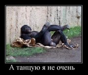 samye_otpadnye_demotivatory_1390449.jpeg