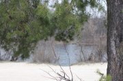 IMG_6028.jpg