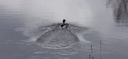 ____027.jpg